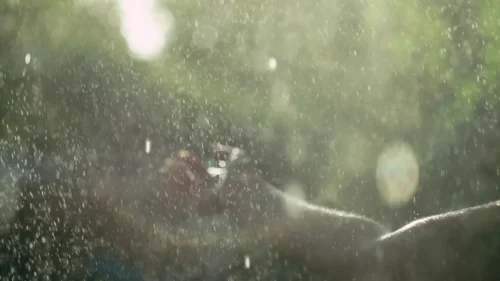 Still frame 33 from MOLODI — my sea (2025) directed by Yura Katynsky